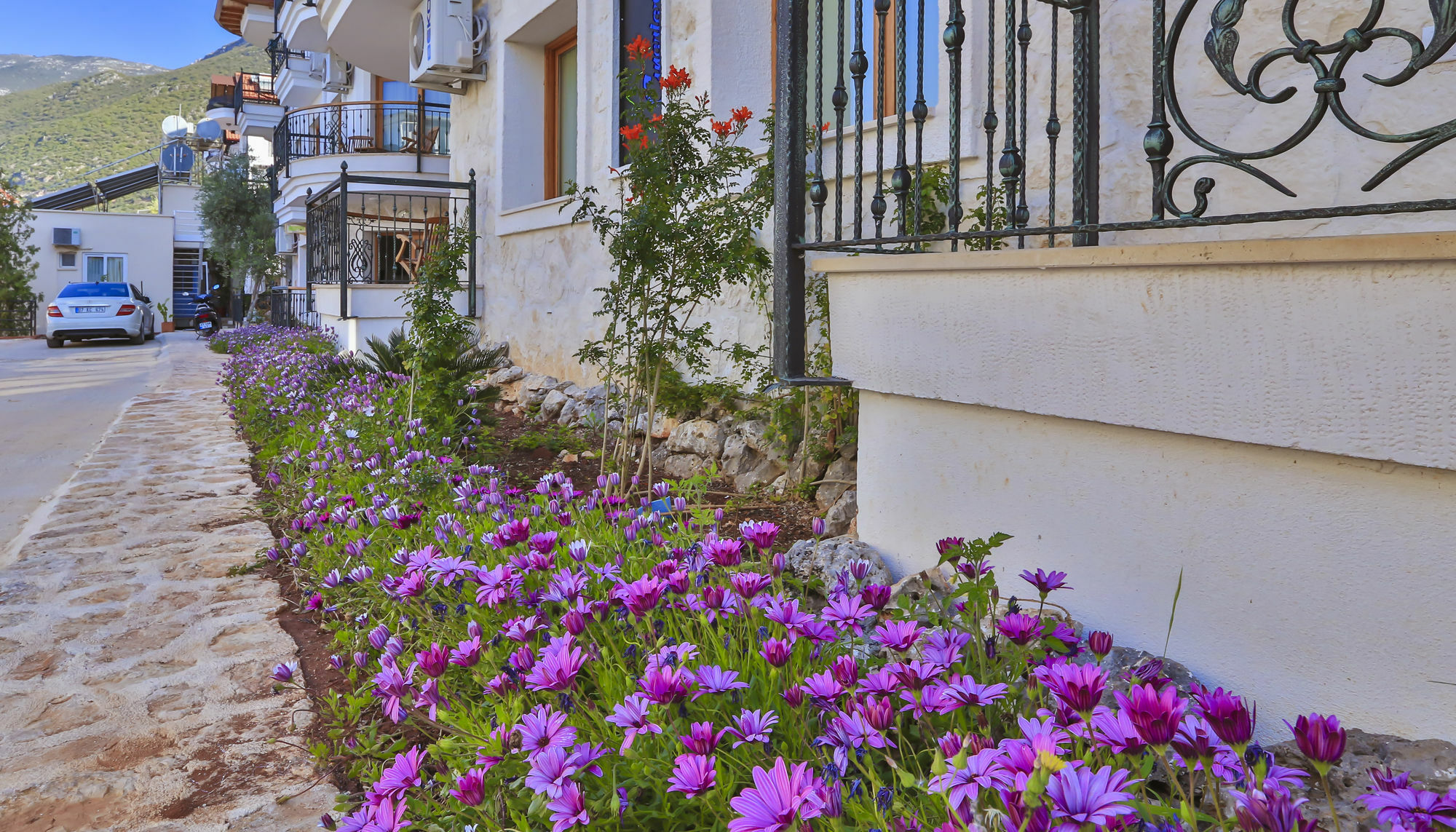 Cinarlar Apart Hotel Kaş Buitenkant foto