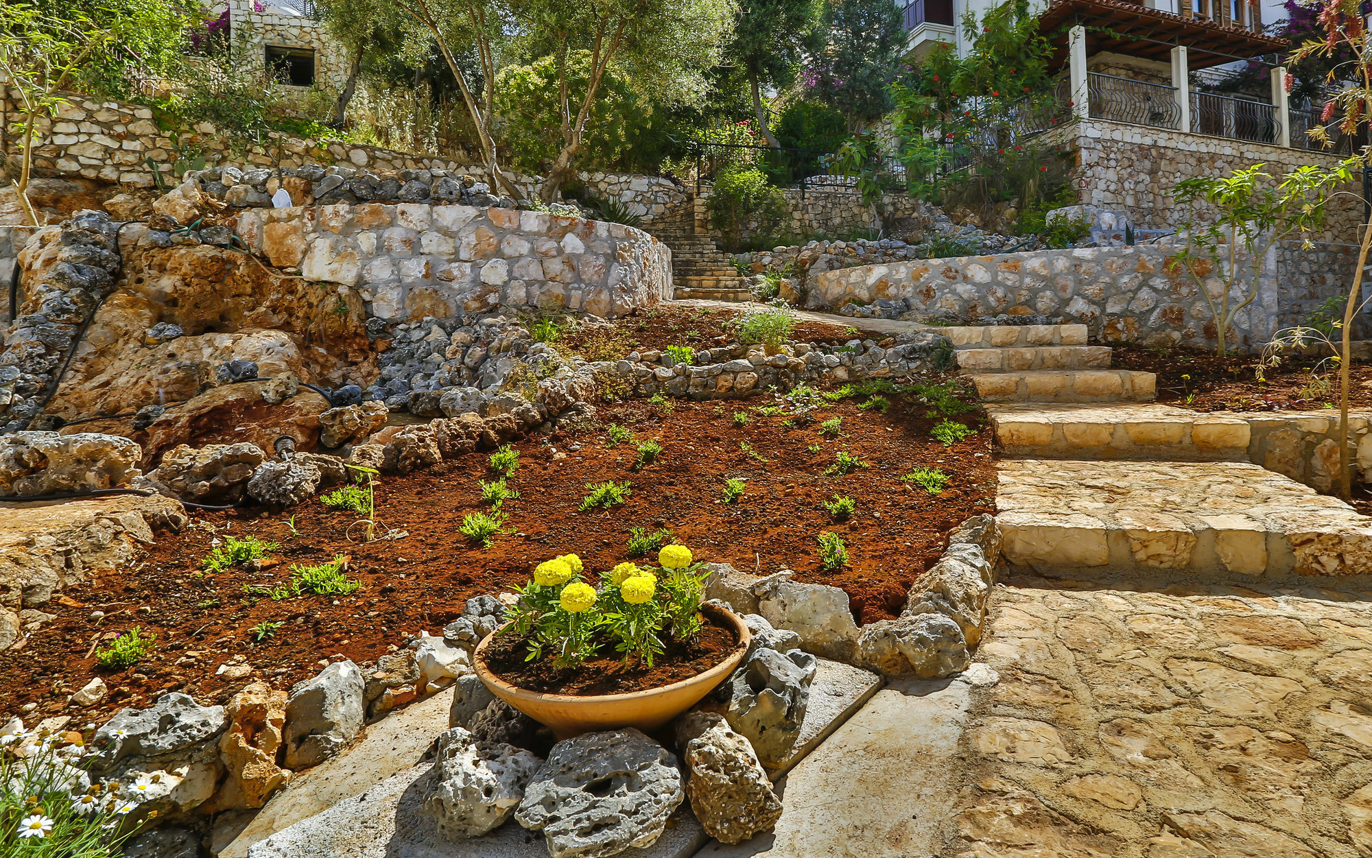 Cinarlar Apart Hotel Kaş Buitenkant foto